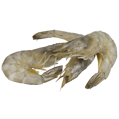 Frozen Prawns per kg