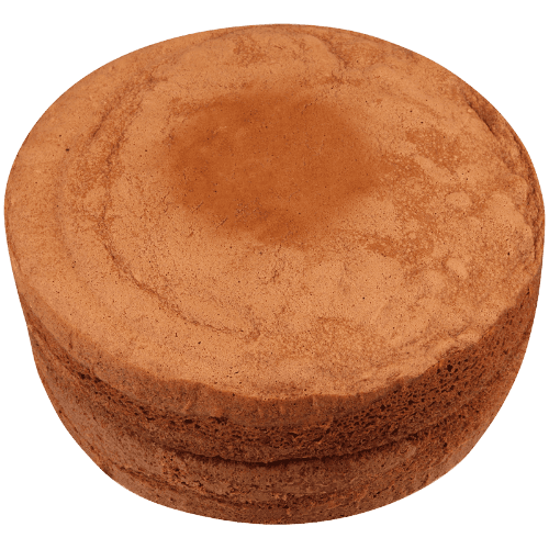 Sponge Round Chocolate Double