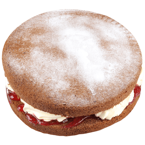 Round Chocolate Sponge Dusted