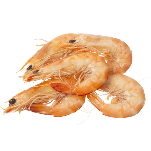 Whole Cooked Large Prawns (Prefrozen)