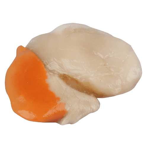 NZ Scallops Shucked (Frozen) per kg