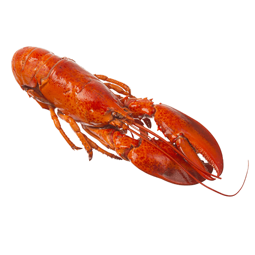 Whole Cooked Lobster (Frozen)