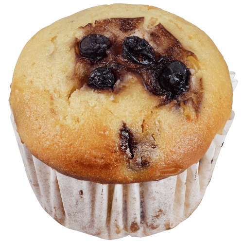 Blueberry Muffin