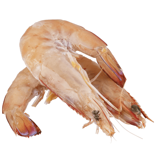 Whole Raw Extra Large King Prawns (Prefrozen) per kg