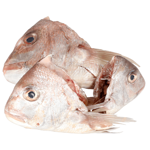 Prepacked Salmon Heads