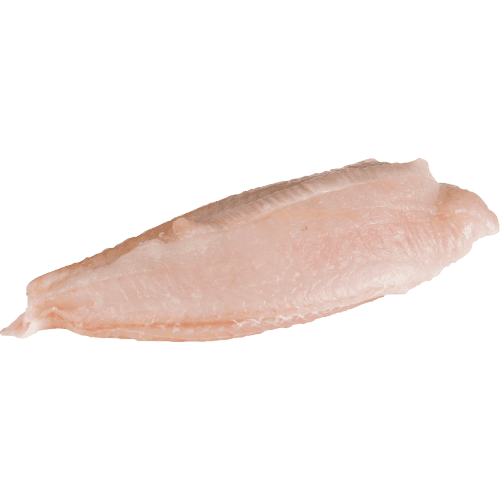 Sole Fillets