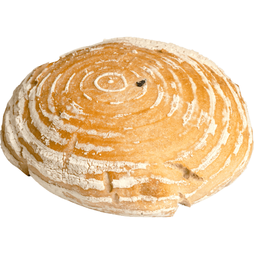 Olive & Walnut Sourdough Bread