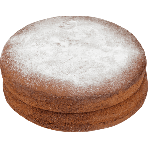 Unfilled Chocolate Round Sponge