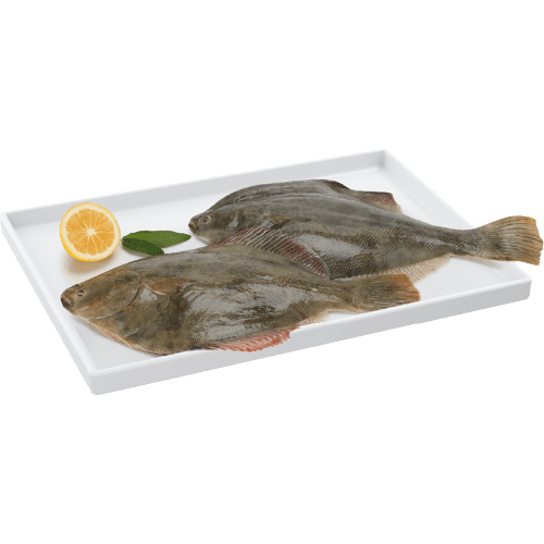 Whole Flounder Fish PrePacked