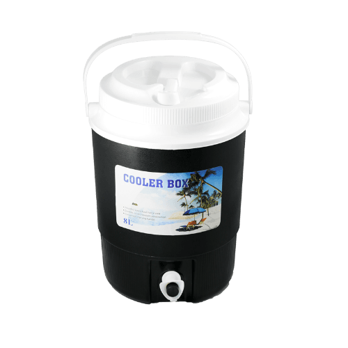 Real Value Cooler Box 8 L