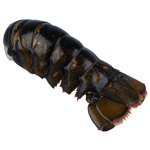 Raw Lobster Tail (Prefrozen)