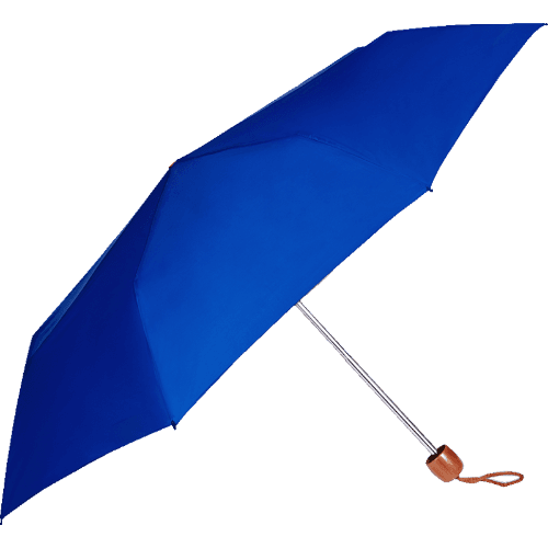 Aerial Everyday Umbrella Assorted Colours