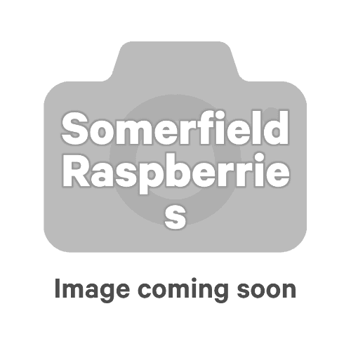 Somerfield Raspberries