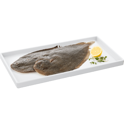 NZ Sole Fillets