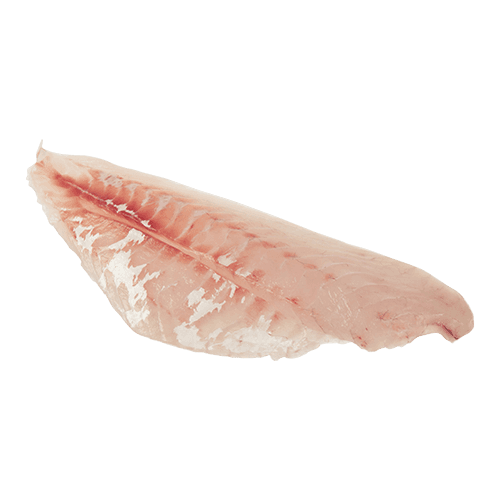 NZ Skinned & Boned Grey Mullet