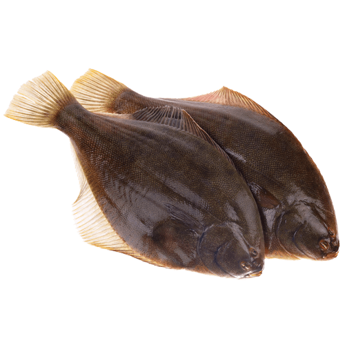 Flounder Yellow Belly Gutted (Frozen) per kg