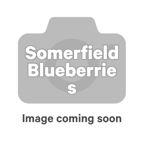 Somerfield Blueberries