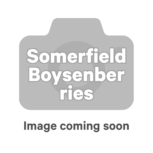Somerfield Boysenberries