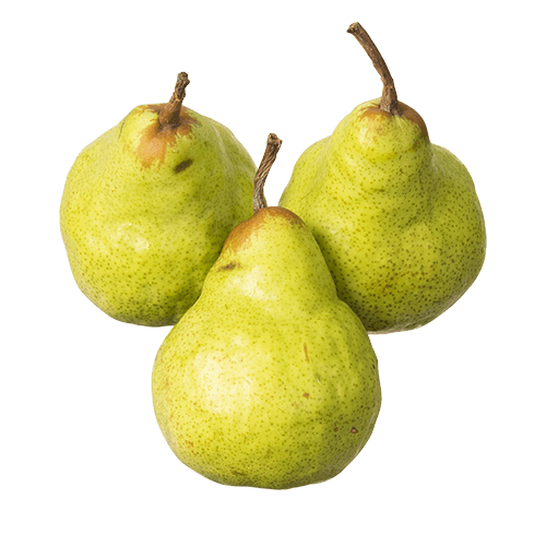 Packham Pears Imported