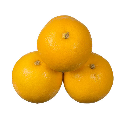 Imported Oranges