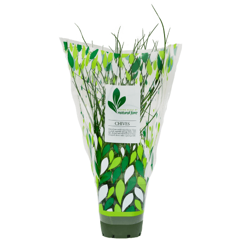 Natural Fare Potted Plant Chives