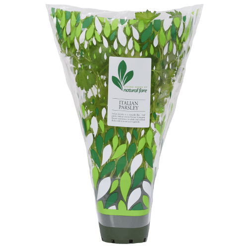 Natural Fare Potted Plant Italian Parsley