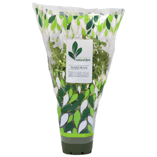 Natural Fare Potted Plant Majoram