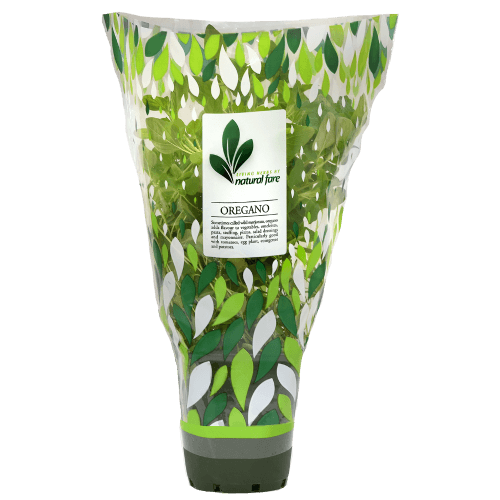 Natural Fare Potted Plant Oregano
