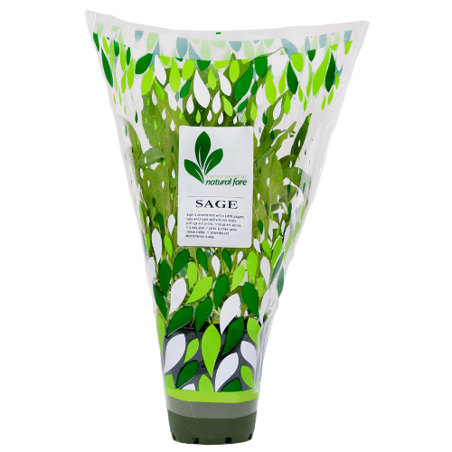 Natural Fare Potted Plant Sage