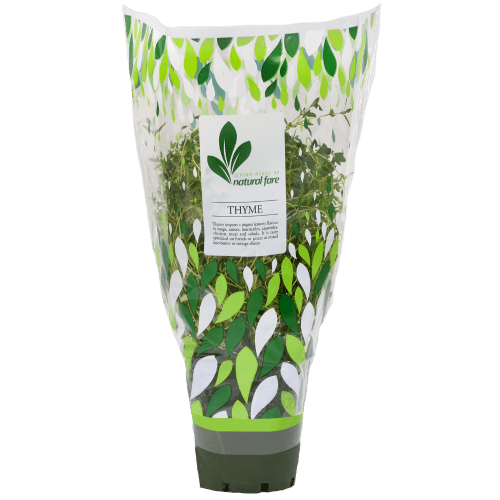 Natural Fare Potted Plant Thyme