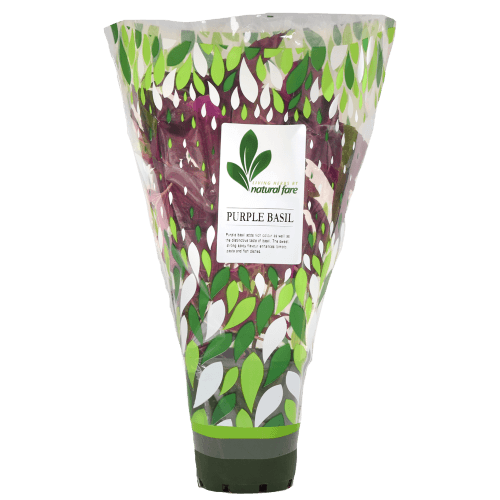 Natural Fare Potted Plant Purple Basil