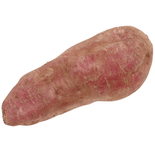 Purple Dawn Kumara per kg