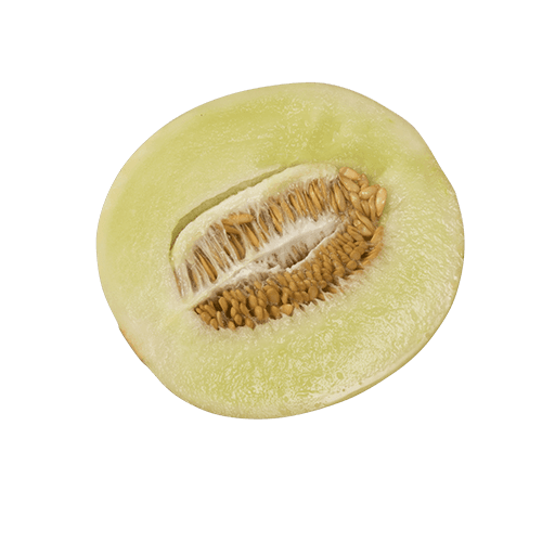 Honeydew Melon Cut