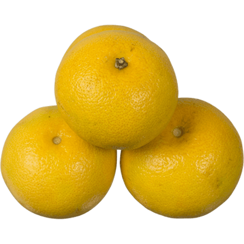 Grapefruit