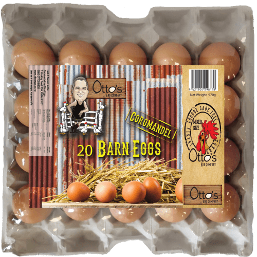 Otto's Egg Company Barn Mixed Grade Eggs 20 pack