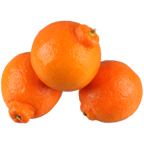 Minneola Tangelo Imported per kg