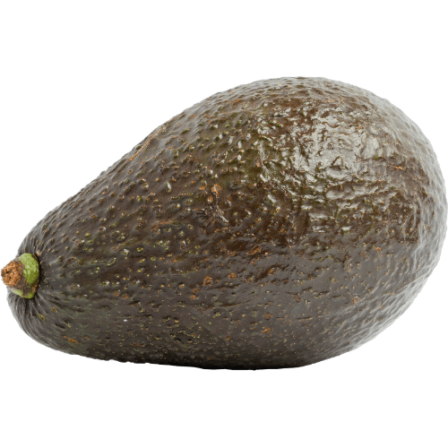 XL Pre Ripe Avocado
