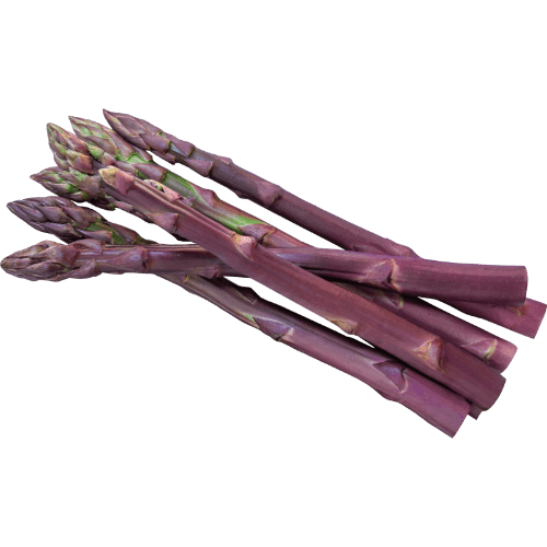 Naked Harvest Purple Asparagus