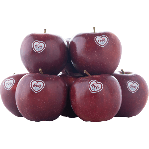 Eve Apple per kg