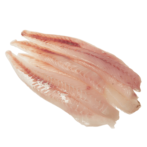 Red Gurnard Fillets (Pre Frozen) per kg