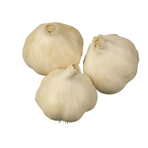 Garlic NZ
