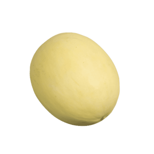 Honeydew Melon