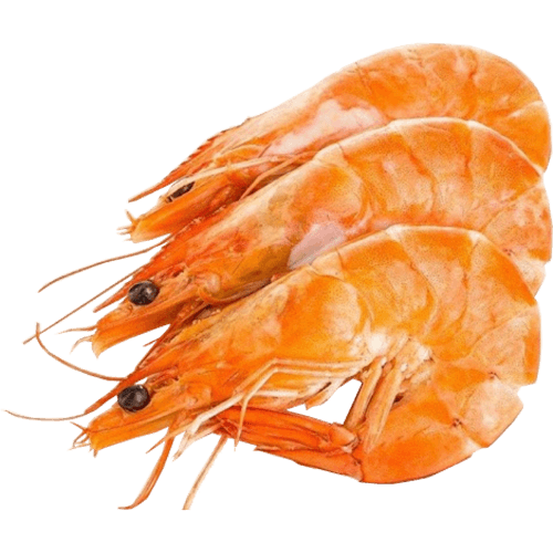 Nishin Black Tiger Prawns Cooked 5 kg