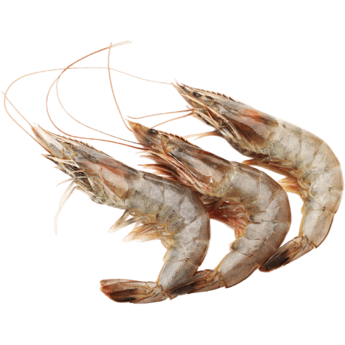 Nishin Whole Raw B/T Prawns per kg