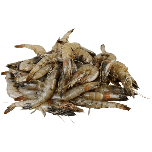 Vannamei Whole Raw Prawns (Prefrozen)