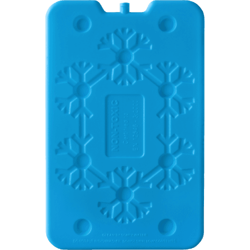 Real Value Large Ice Brick