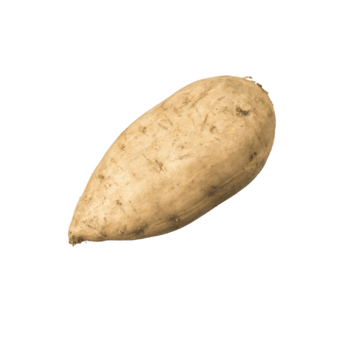 Gold Kumara