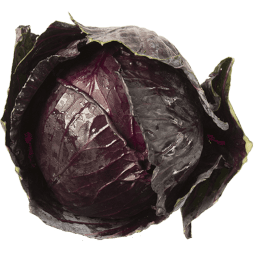 Red Cabbage