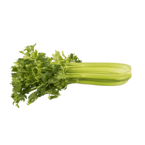NZ Celery