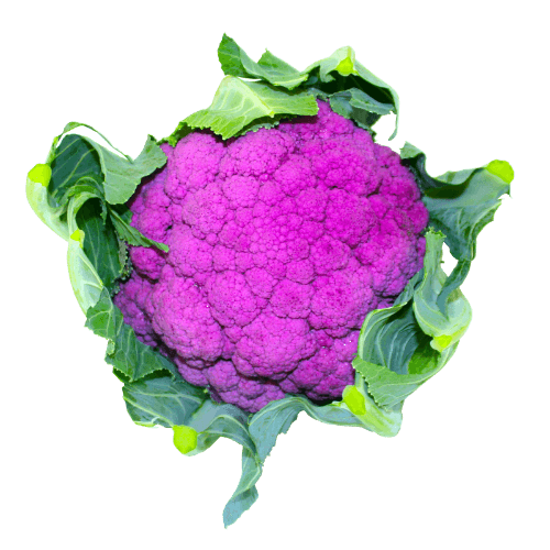 Purple Cauliflower